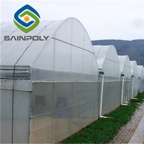 Taimitarhan muovikalvo kasvihuone