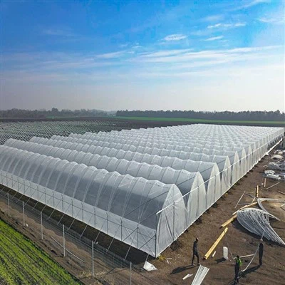 Rain Shelter kasvihuone