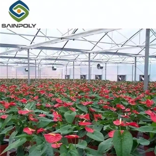 Vihannesten hydroponinen kasvihuone